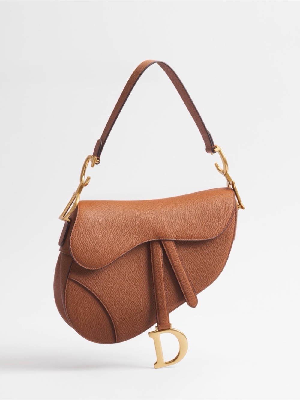 Dior Saddle Bag with strap
